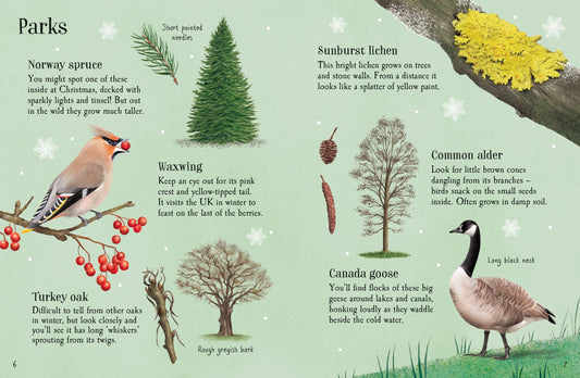 Things to Spot in Winter
