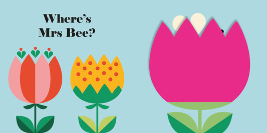 Where's Mrs Ladybird? Buggy Book