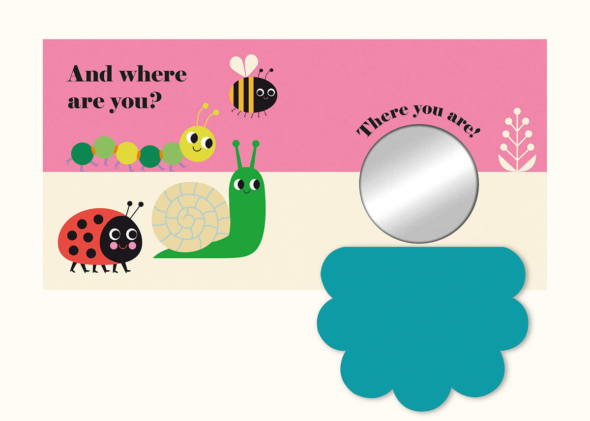 Where's Mrs Ladybird? Buggy Book
