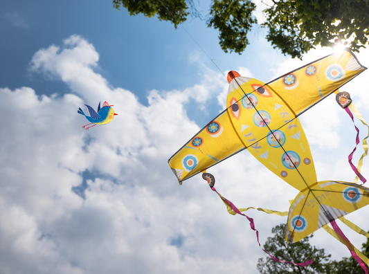 Djeco, Maxi Plane Kite