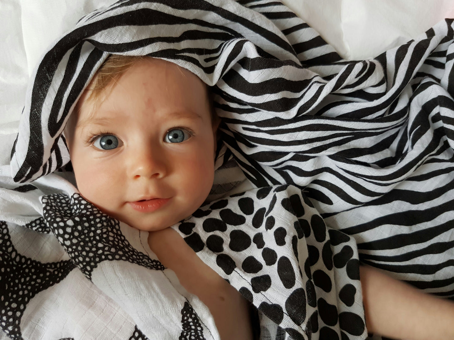 Set of Three Animal Print Sensory Muslin Squares