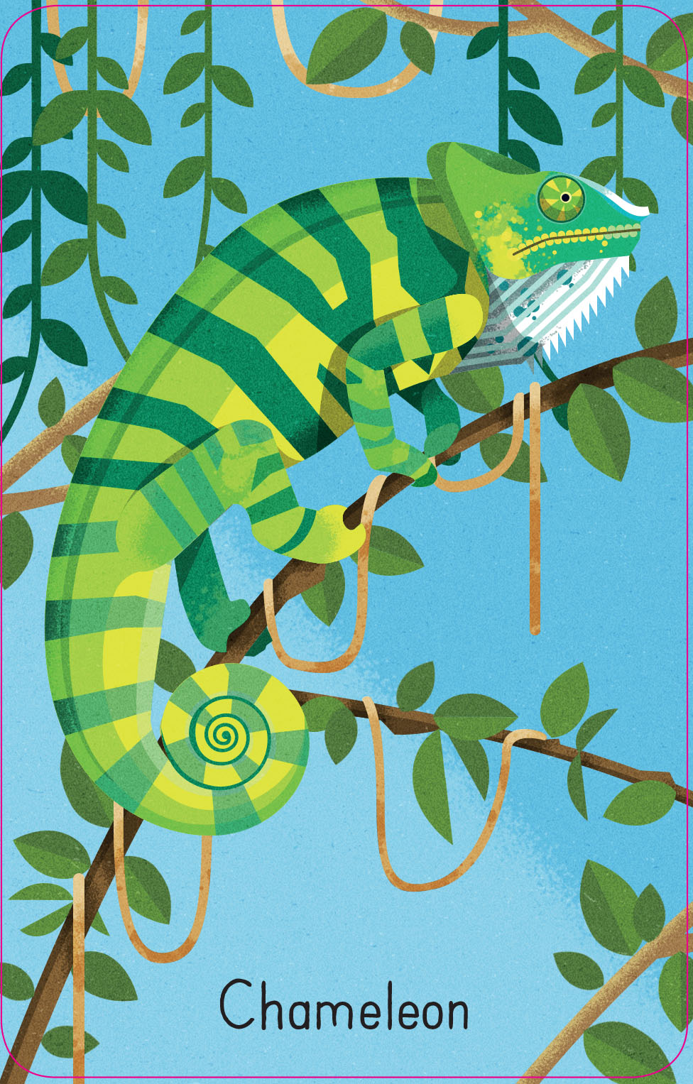 Jungle Snap Cards