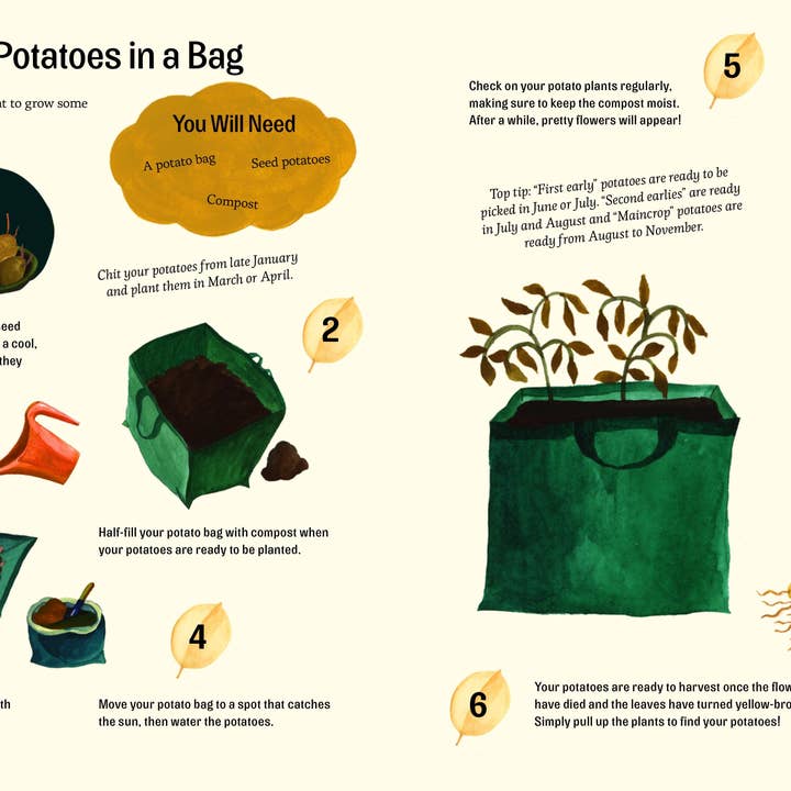 Little Green Fingers: Easy Peasy Gardening Activities
