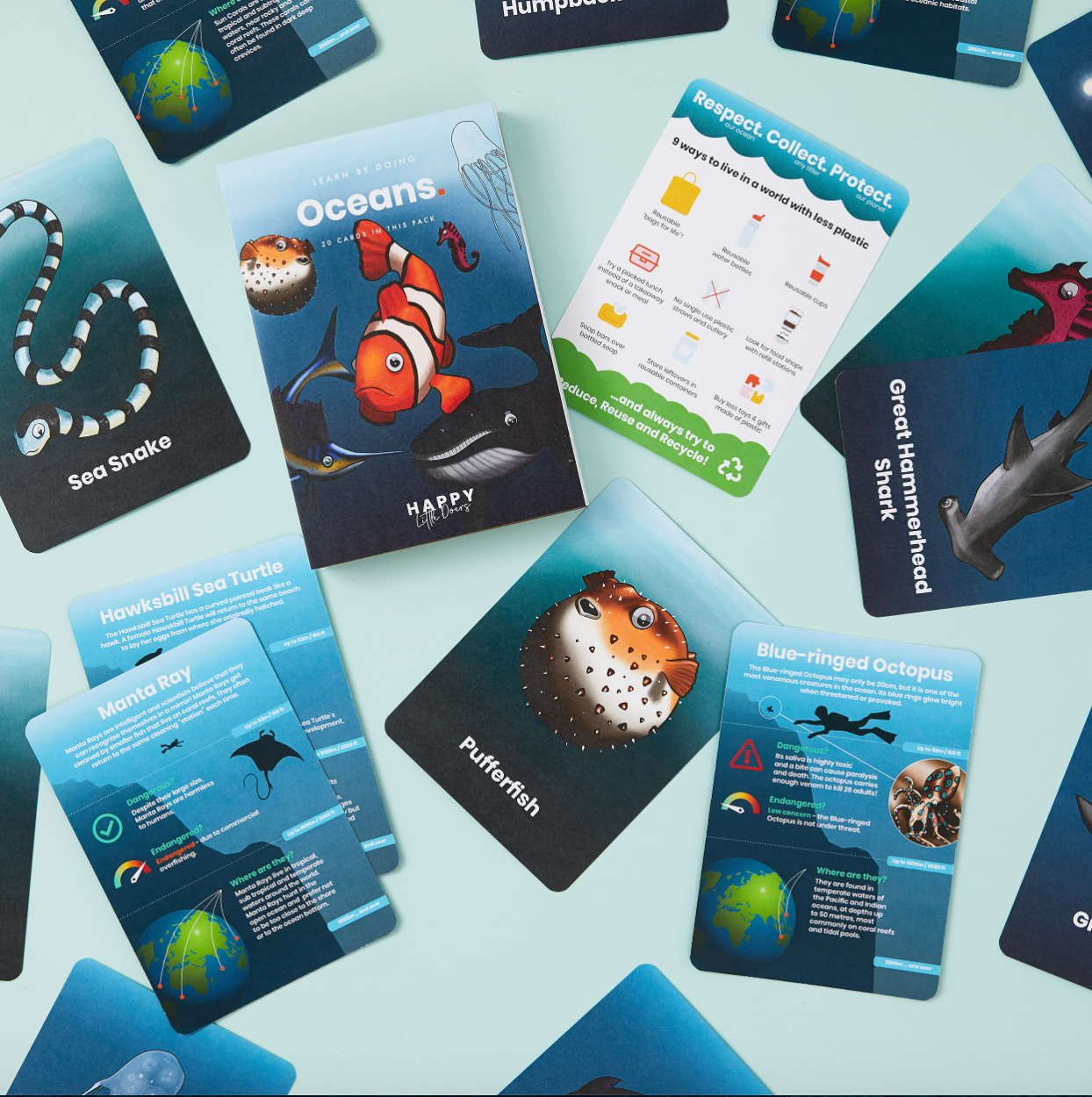 Happy Little Doers, Oceans Activity Flashcards for Kids