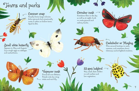 Usborne Minis: Bugs to Spot