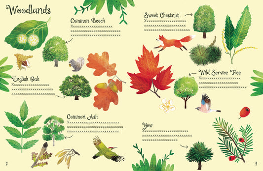 Usborne Minis: Trees To Spot