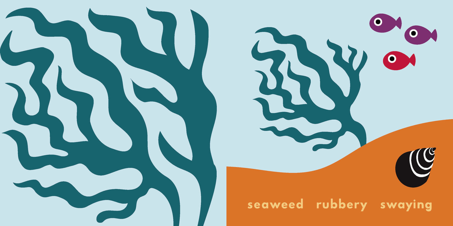 Sea: Look, Touch, Learn