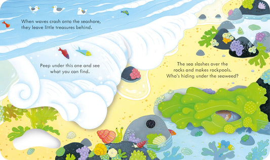 Peep Inside The Seashore