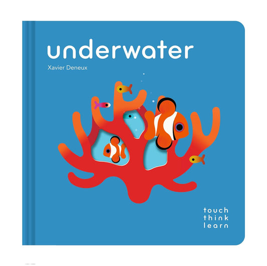 Touch Think Learn: Underwater