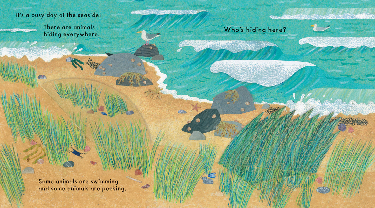 Who's Hiding at The Seaside