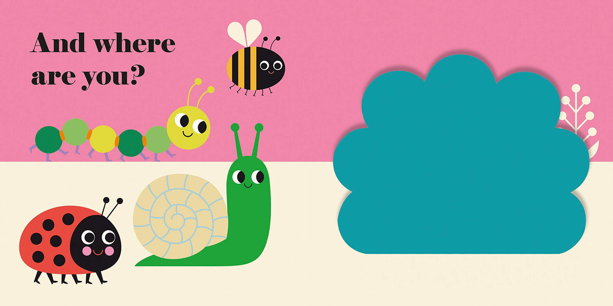 Where's Mrs Ladybird? Buggy Book
