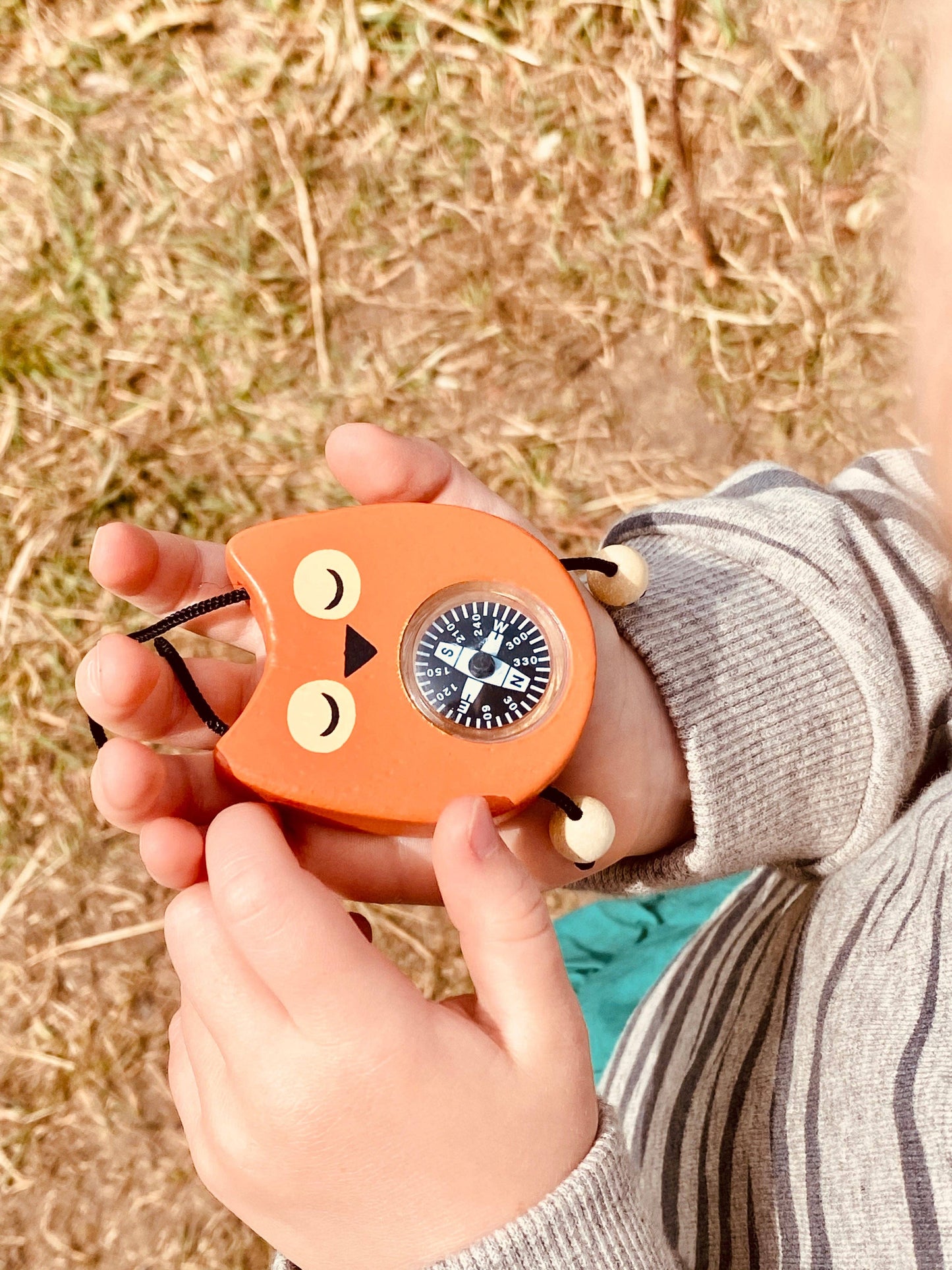 Wooden Safari Adventure Kit