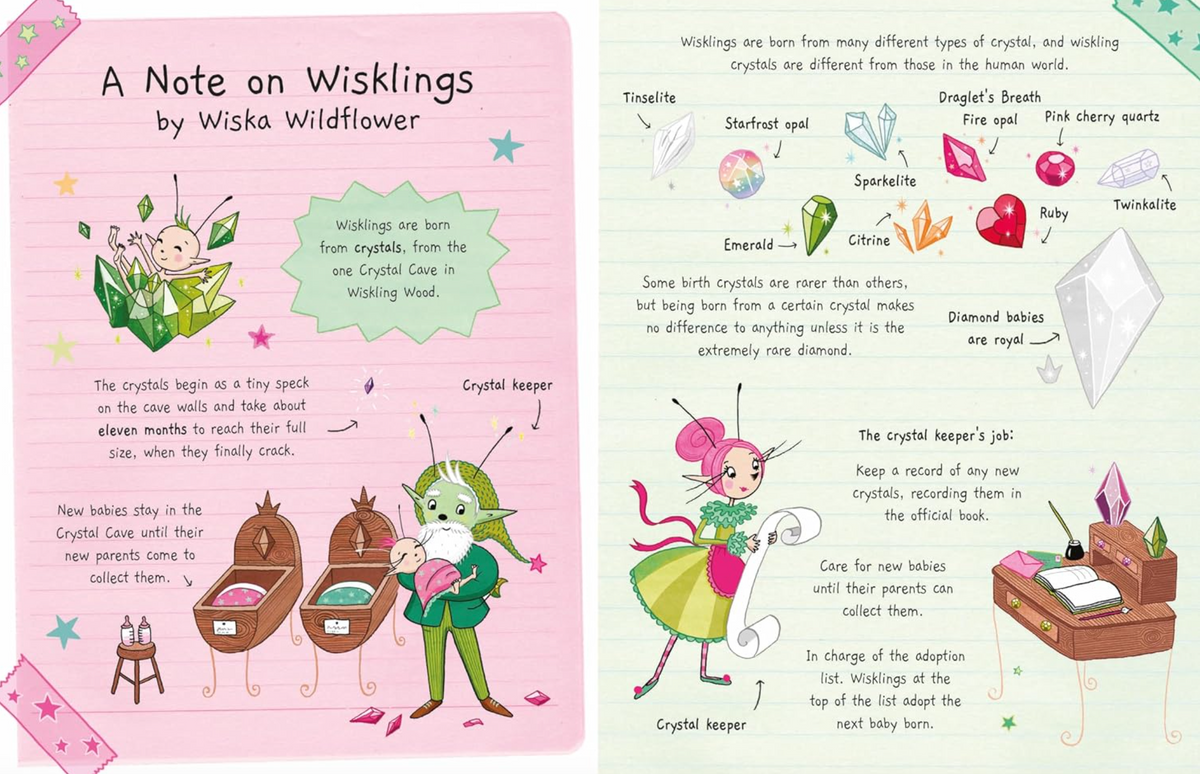The Diary of Wiska Wildflower: The New School