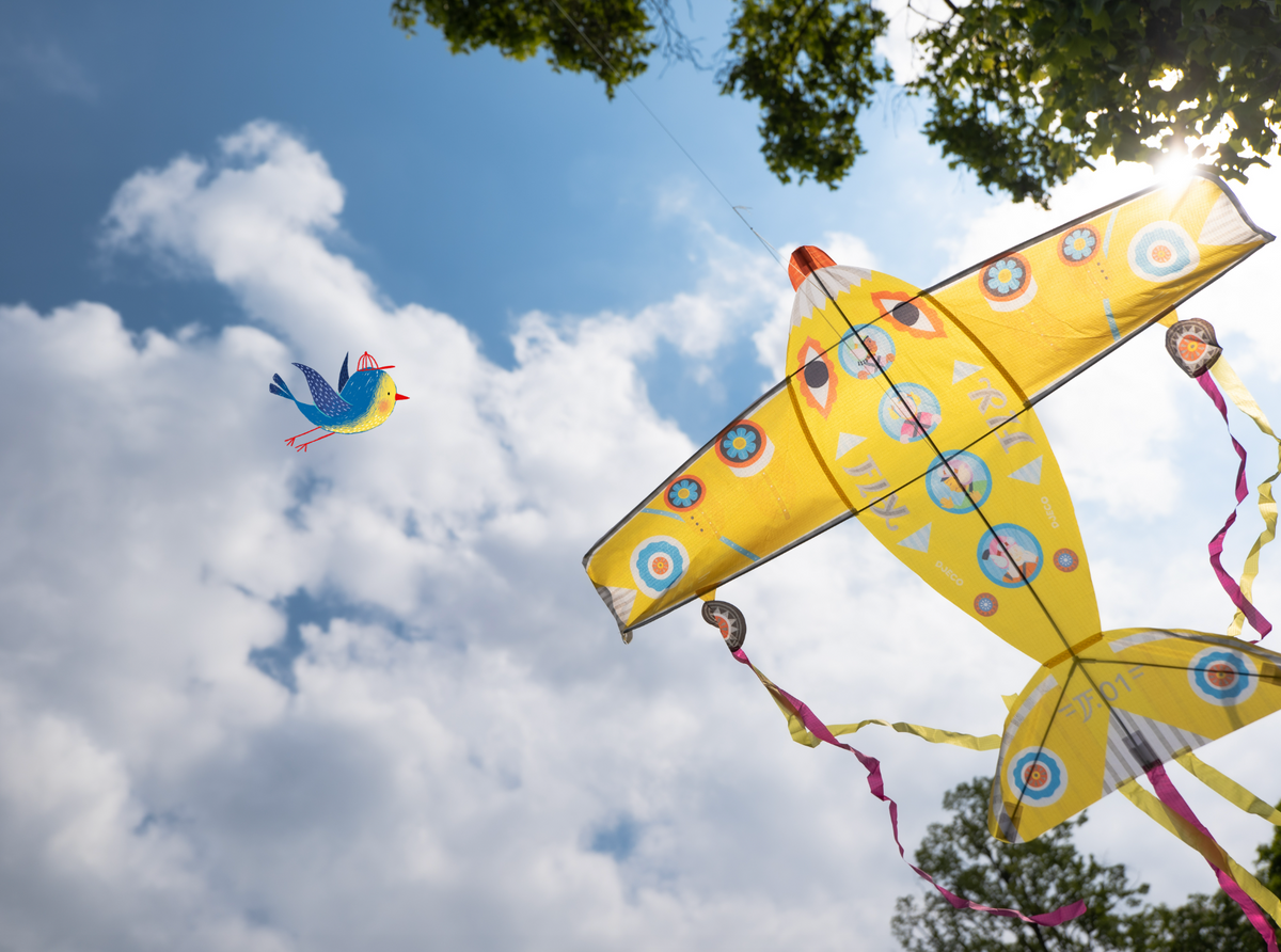 Djeco, Maxi Plane Kite