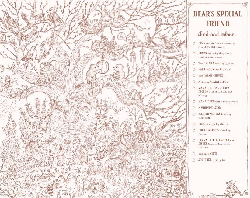 Brown Bear Wood Colouring and Spotting Book