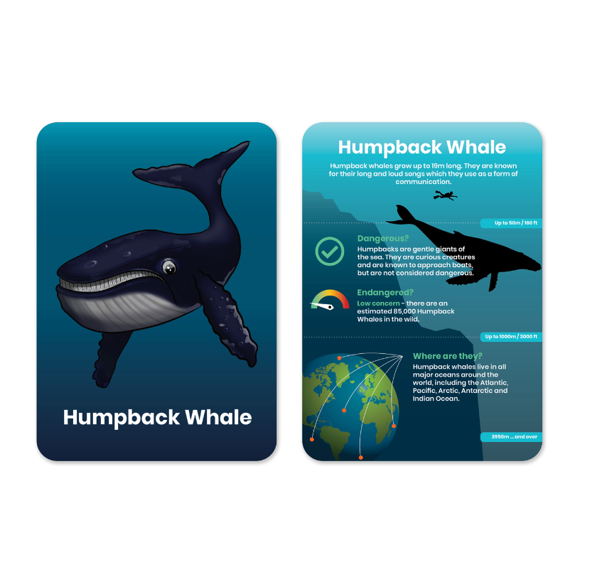 Happy Little Doers, Oceans Activity Flashcards for Kids