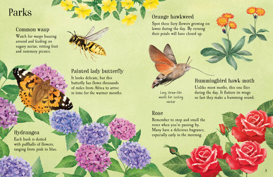 Things to Spot in Summer