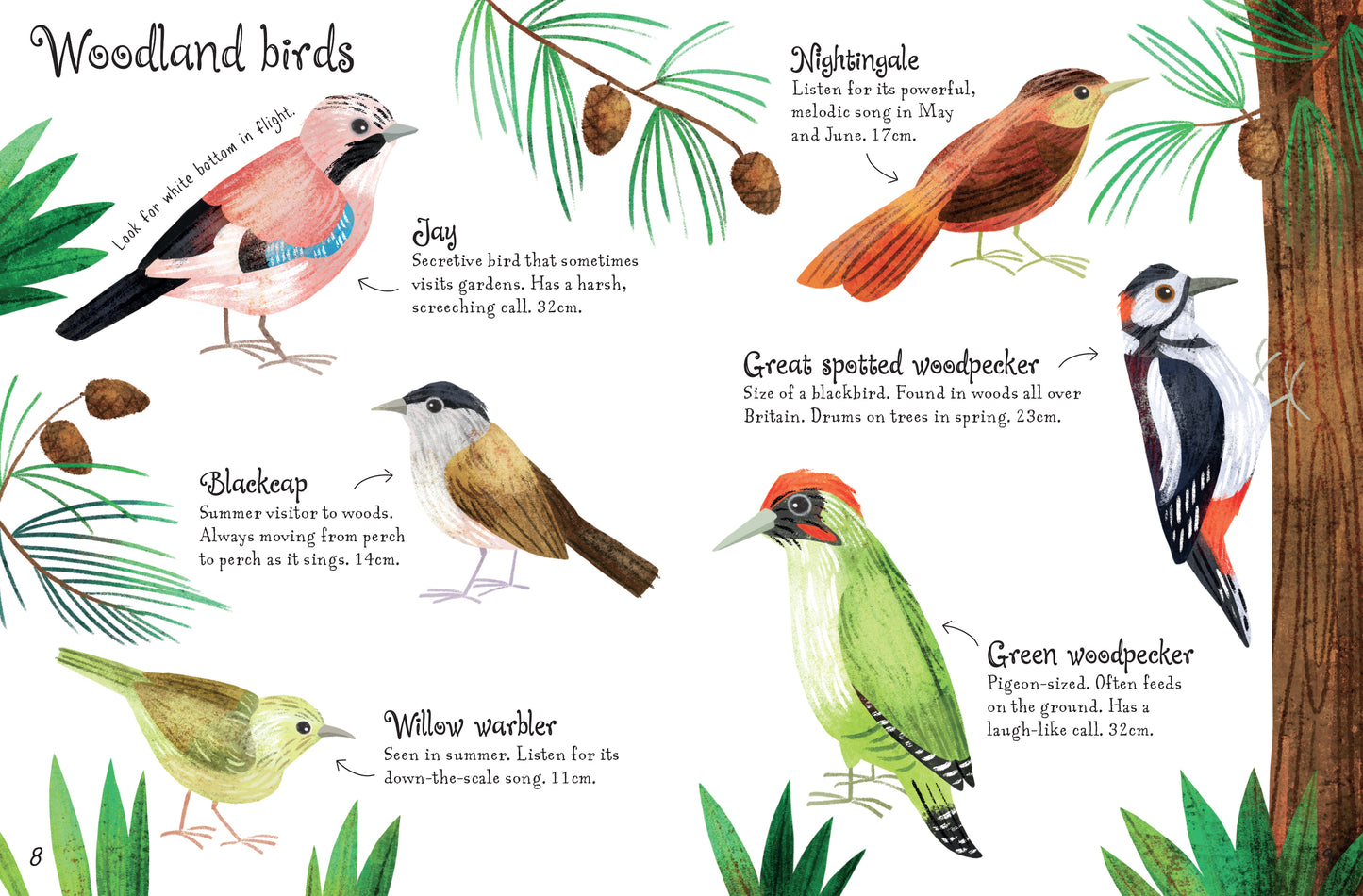 Usborne Minis: Birds to Spot