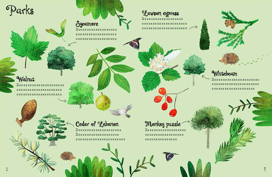 Usborne Minis: Trees To Spot