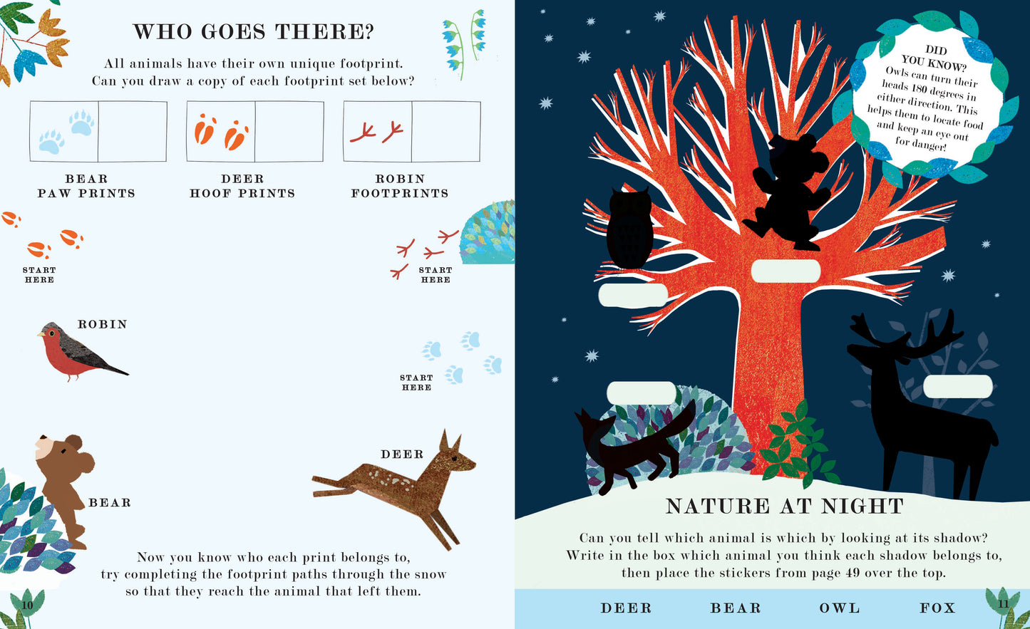 Tree: Seasons Come Seasons Go Activity Book
