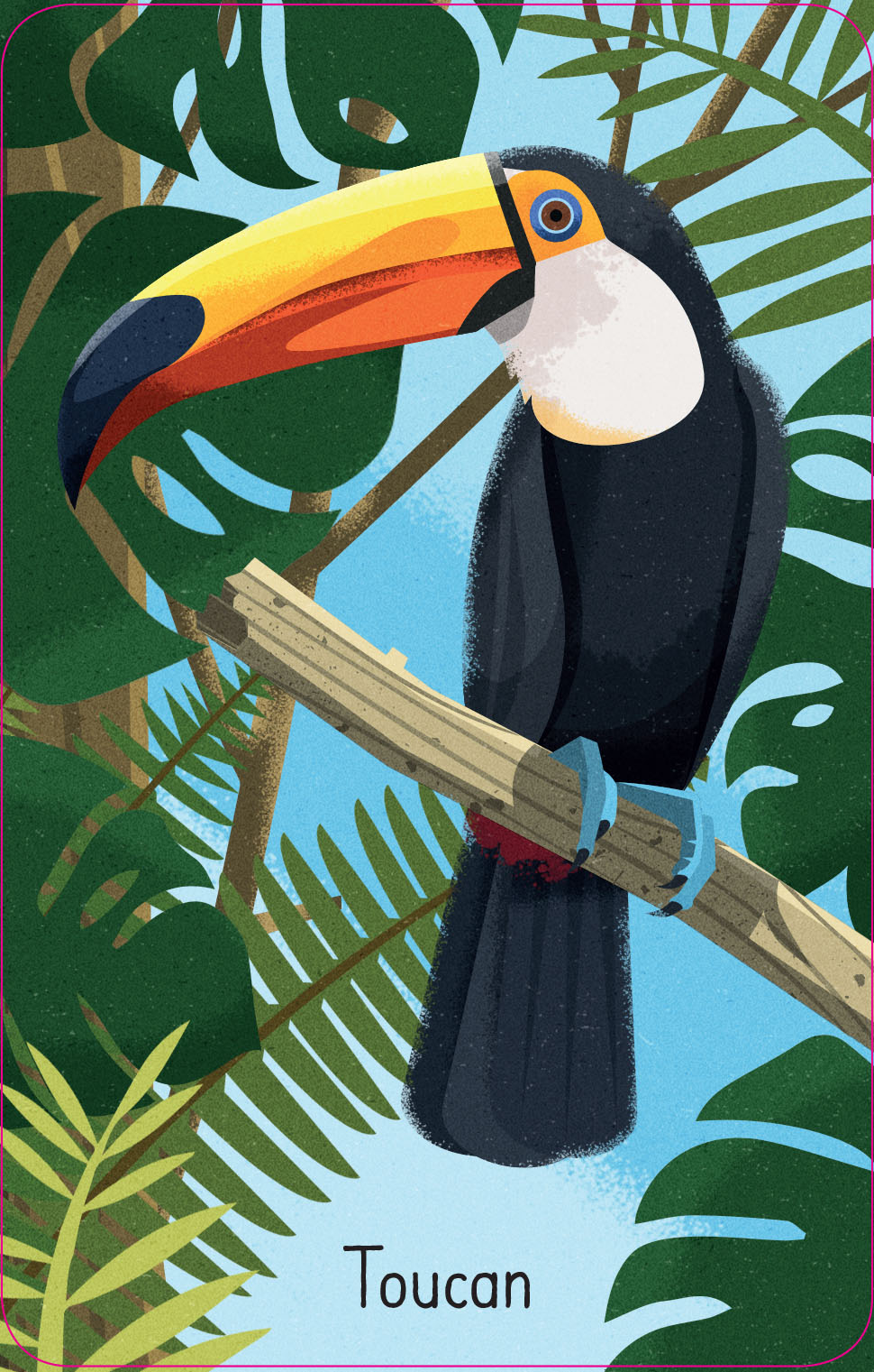 Jungle Snap Cards