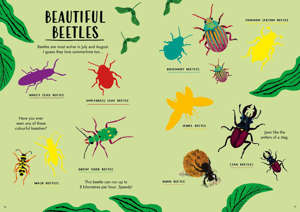 Hello Summer: A Sticker Activity Nature Guide