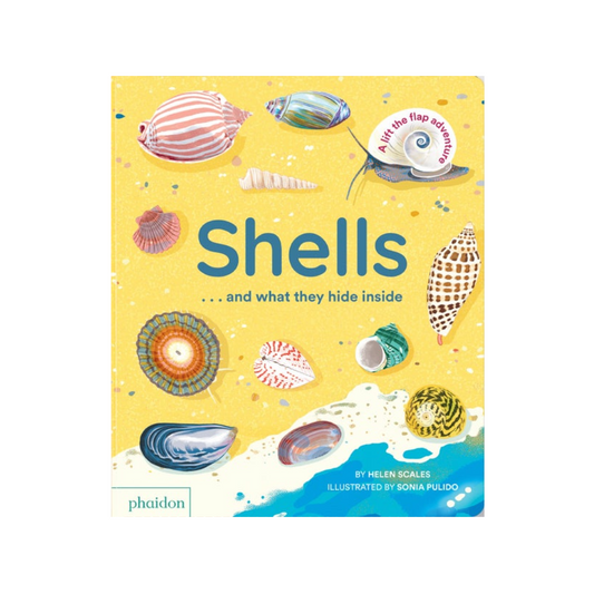 Shells and What They Hide Inside