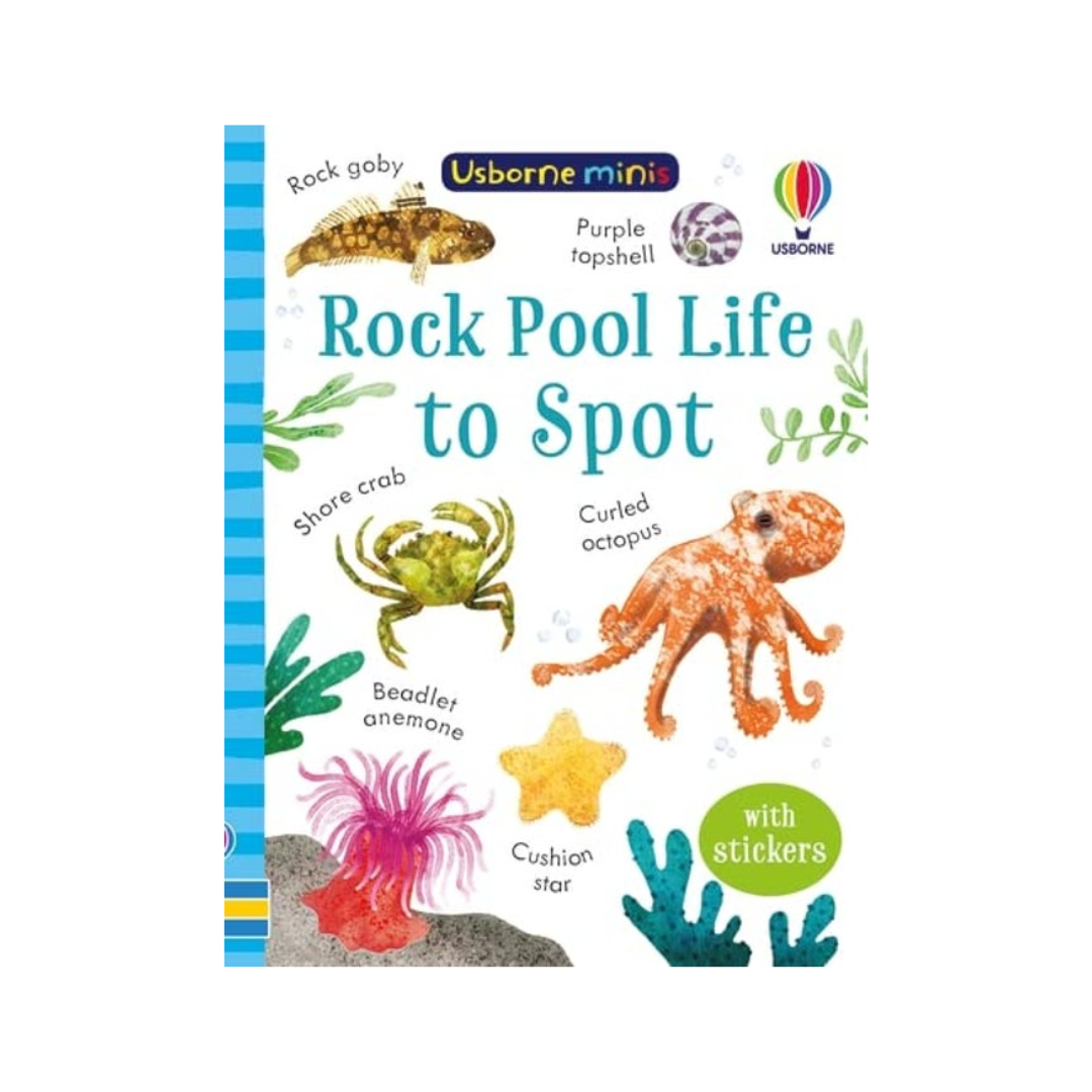 Usborne Minis: Rock Pool Life to Spot