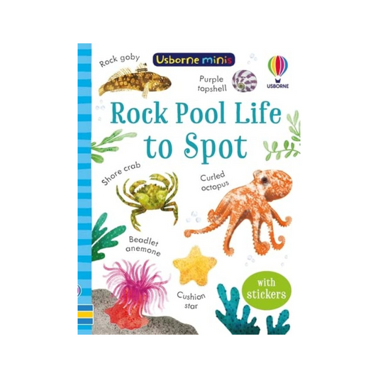 Usborne Minis: Rock Pool Life to Spot