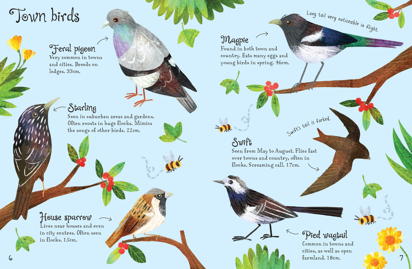 Usborne Minis: Birds to Spot