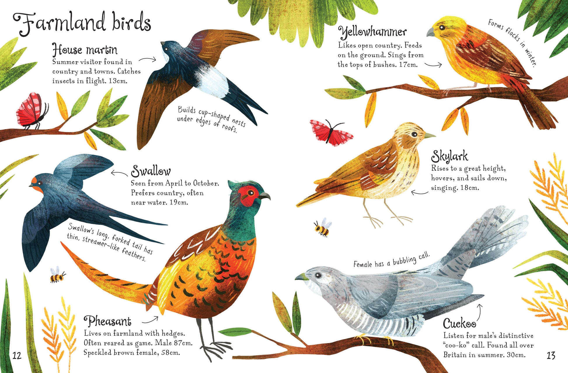 Usborne Minis: Birds to Spot