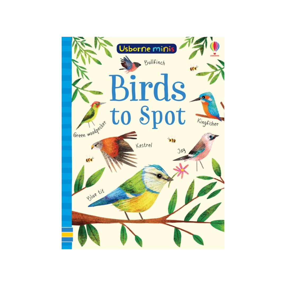 Usborne Minis: Birds to Spot