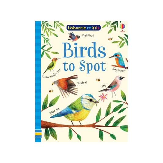 Usborne Minis: Birds to Spot