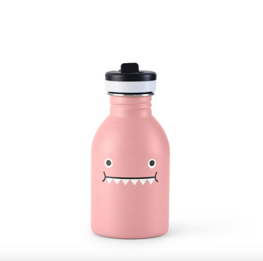 Ricedino Pink Dinosaur Stainless Steel Bottle