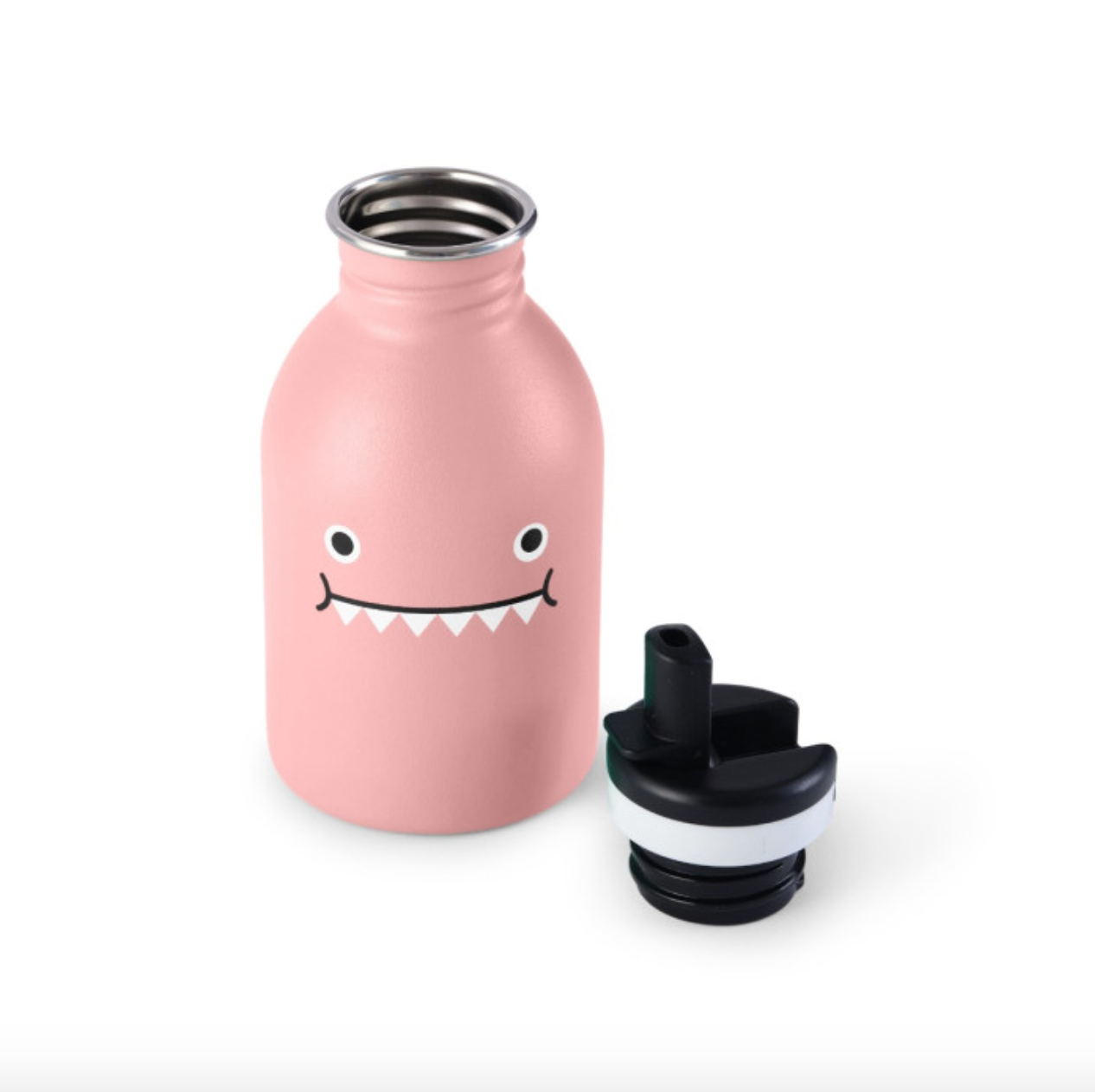 Ricedino Pink Dinosaur Stainless Steel Bottle