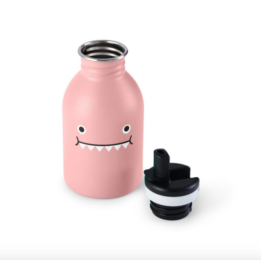 Ricedino Pink Dinosaur Stainless Steel Bottle