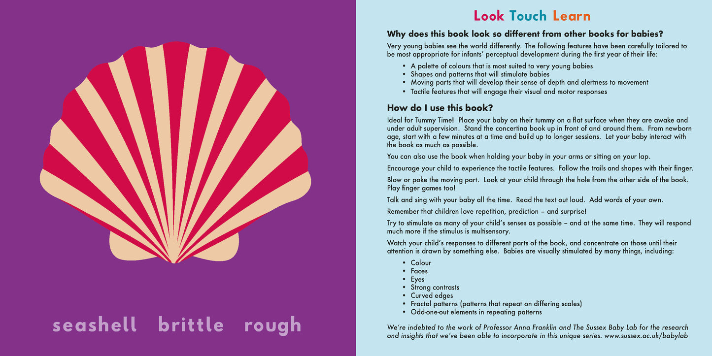 Sea: Look, Touch, Learn