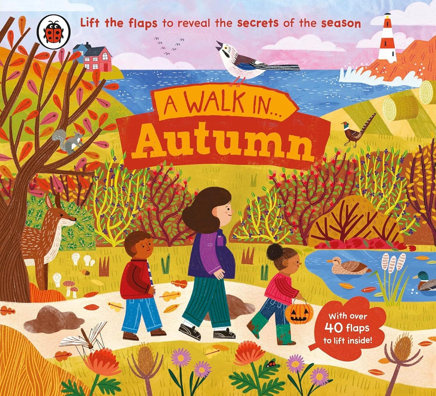 A Walk in Autumn...