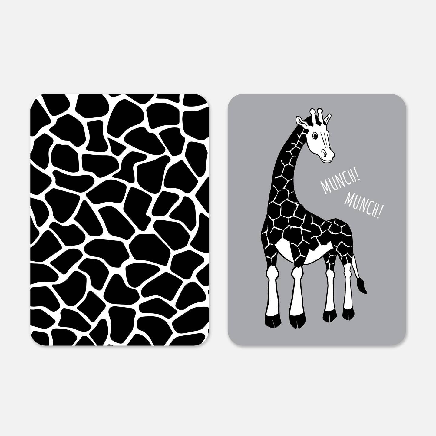 Newborn Sensory Flashcards for Babies