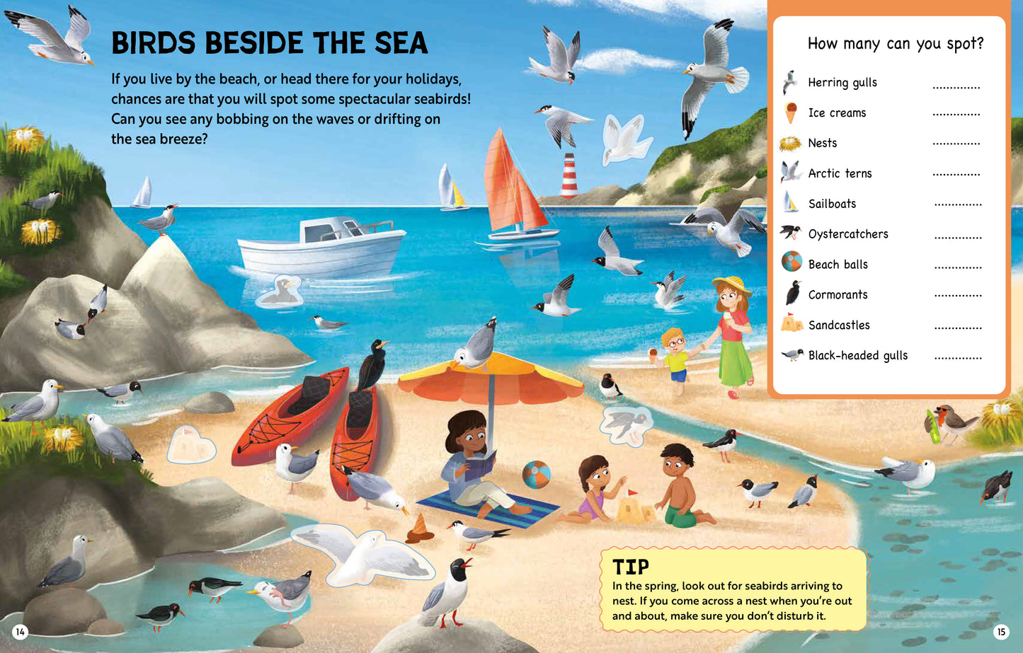 RSPB Big Garden Birdwatch Activity Book