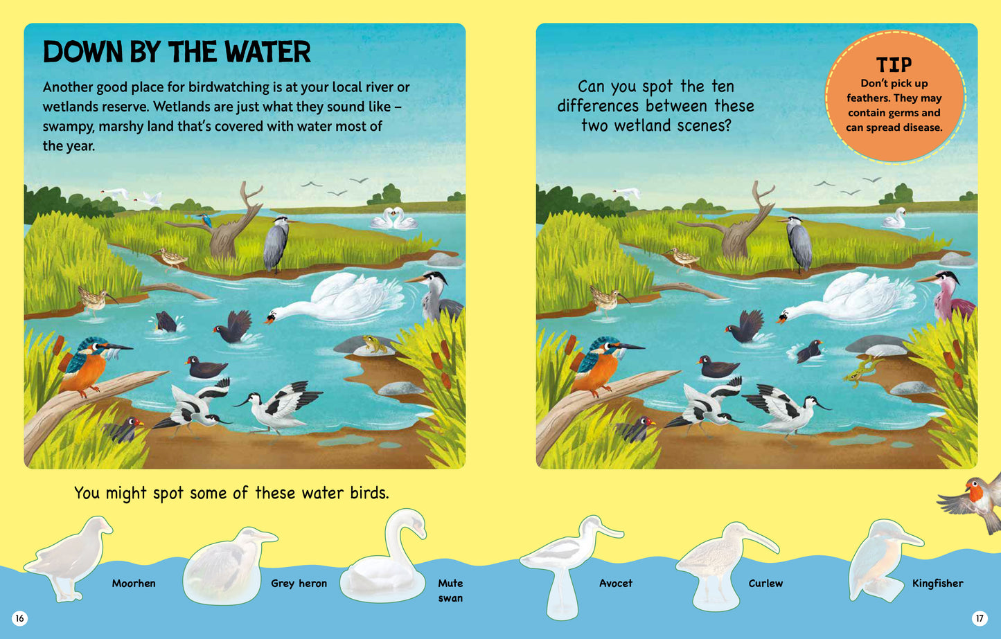 RSPB Big Garden Birdwatch Activity Book