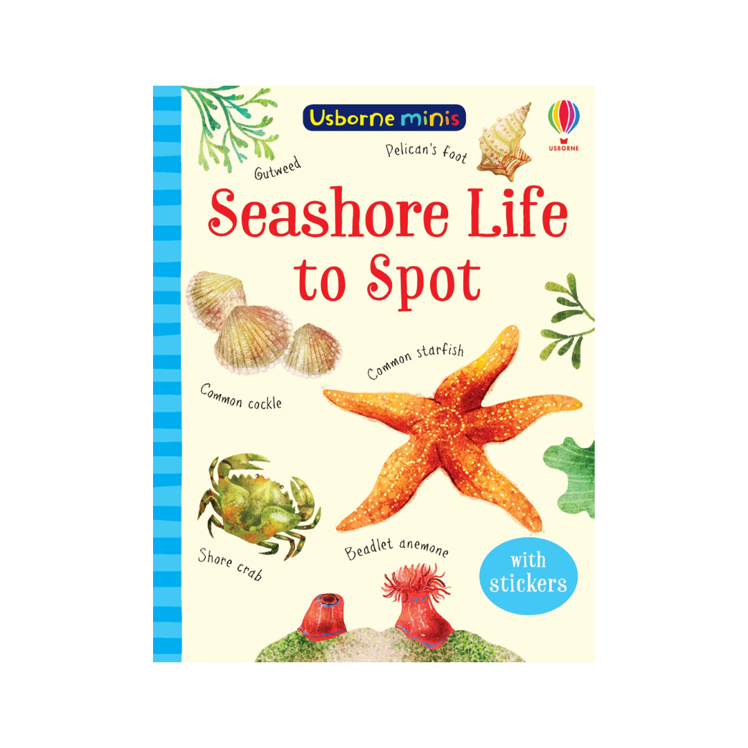 Usborne Minis: Seashore Life to Spot