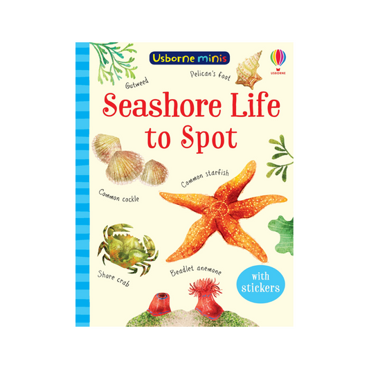 Usborne Minis: Seashore Life to Spot