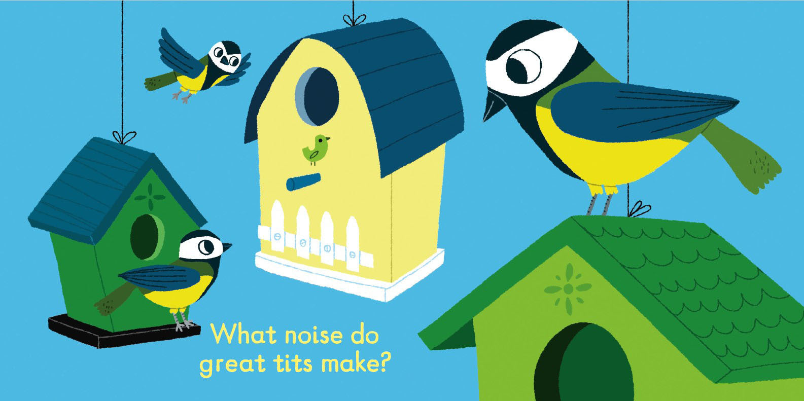 Listen to the Birds (Soundbook)