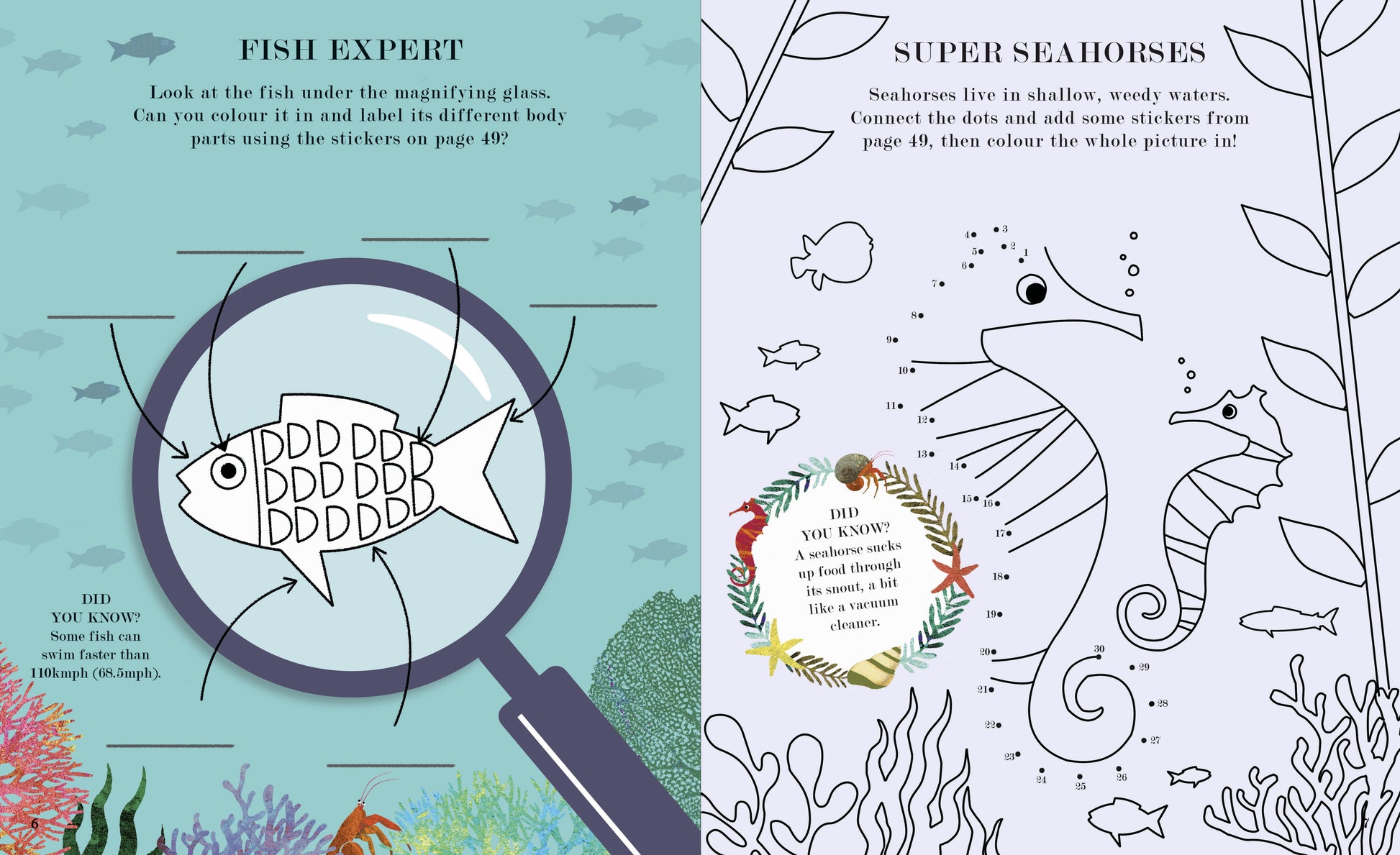 Sea: A World Beneath The Waves Activity Book