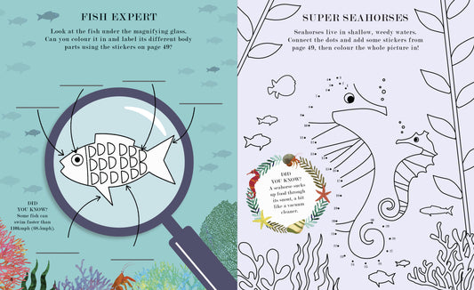 Sea: A World Beneath The Waves Activity Book