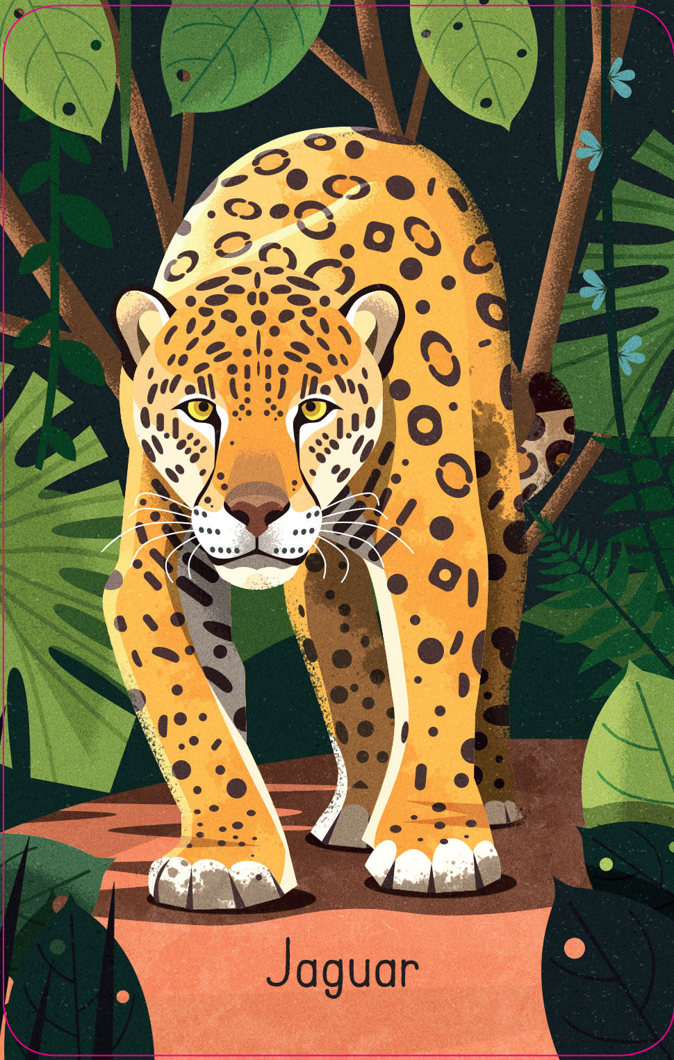 Jungle Snap Cards